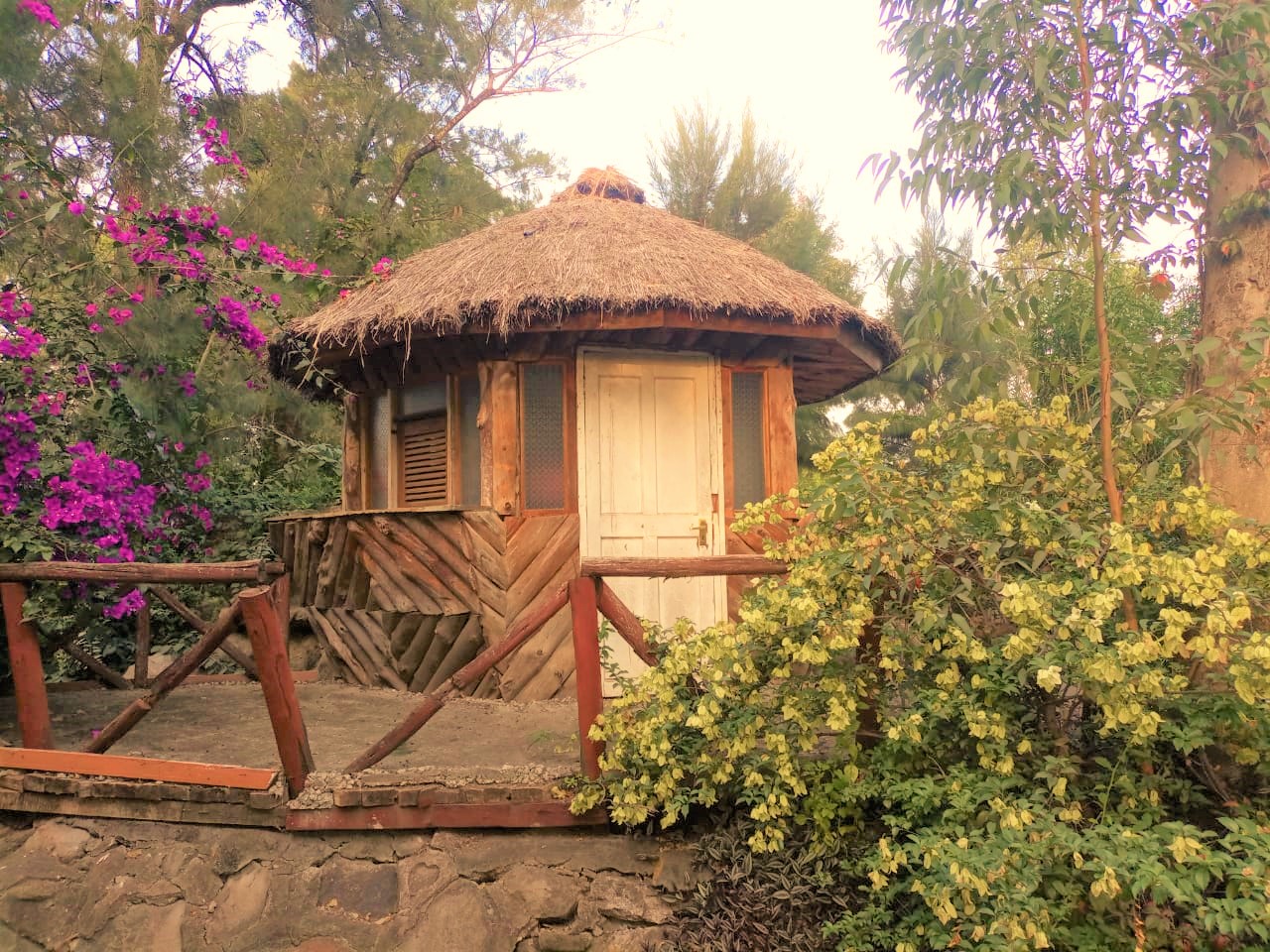 19(log house)